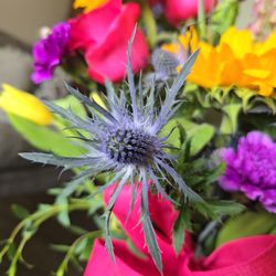 Archibald Flowers - Alpine Sea Holly Flower