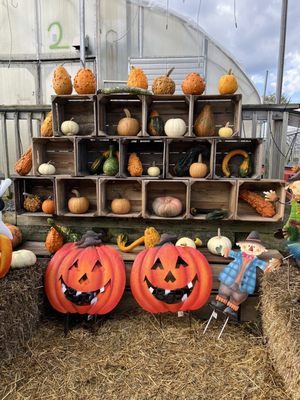 Frank's Produce & Greenhouse by null