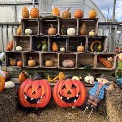 Frank's Produce & Greenhouses