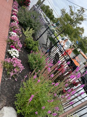 Son of a Sailor Seafood by null