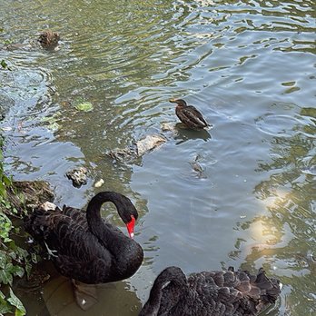 Parque Del Retiro - Parks Near Me - Madrid, M