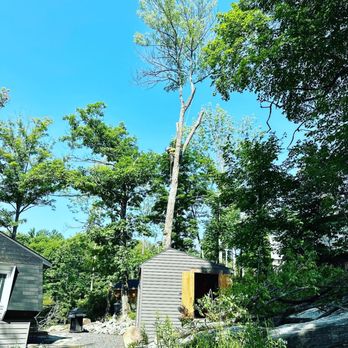 T’s Trees - Tree Services Near Me T’s Trees - Tree Services Near Me