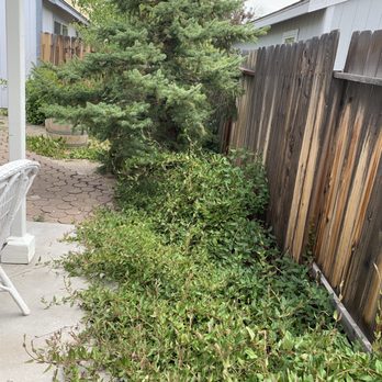 Tailored Lawn Care - Before - Lawn Services Near Me - Sparks, Nevada Tailored Lawn Care - Before - Lawn Services Near Me - Sparks, Nevada