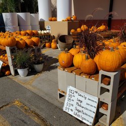 The Home Depot - Pumpkins