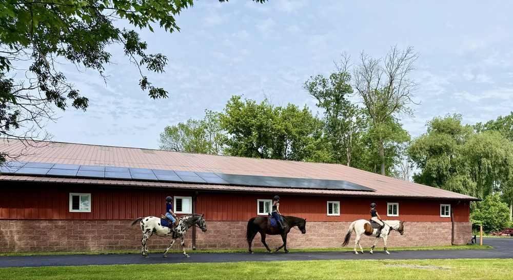 Strides of Grace Equestrian - equestrian in East Amherst, NY
