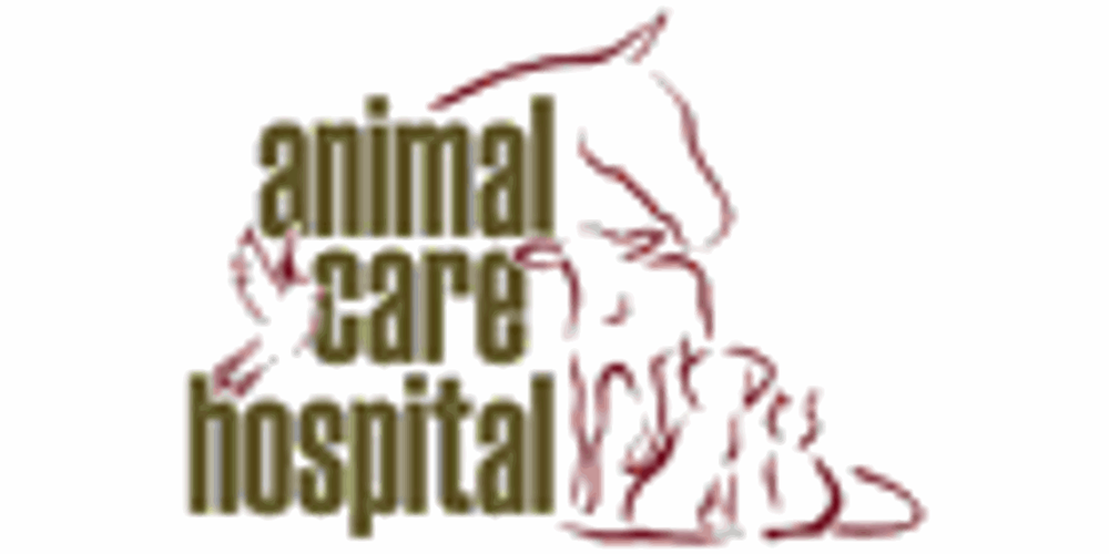 ANIMAL CARE HOSPITAL Updated July 2024 1431E Jade Road, Quesnel, British Columbia