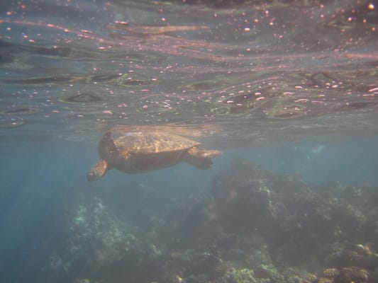 Molokini Crater by null