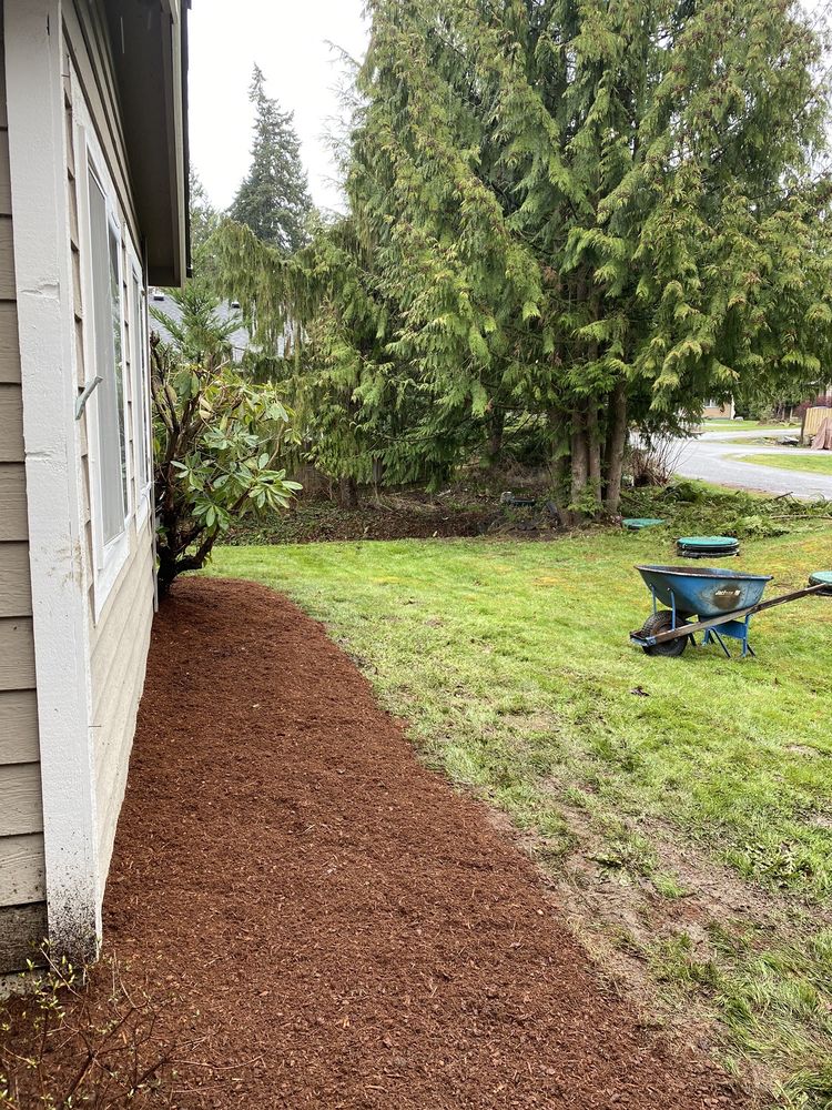 Tony's Landscaping - tree service in Puyallup, WA
