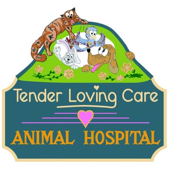 Pepin Janine Dr - Veterinarians Near Me - Medina, Ohio Pepin Janine Dr - Veterinarians Near Me - Medina, Ohio
