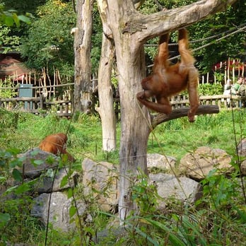 Zoo Dortmund - Zoos Near Me - Dortmund, NW Zoo Dortmund - Zoos Near Me - Dortmund, NW