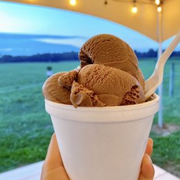 Double Scoop was so big!