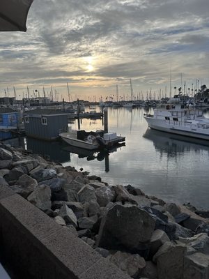 Harbor Fish & Chips by null