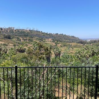 Chip’s Tree Service - Trimmed below the fence line - Tree Services Near Me - Sacramento, California Chip’s Tree Service - Trimmed below the fence line - Tree Services Near Me - Sacramento, California