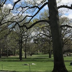 Bronx Park