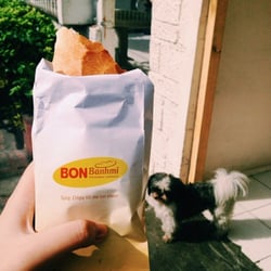 Bon Banh Mi - Banh mi! plus the owner's adorable baby shih tzu