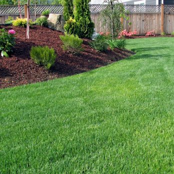 Son and Snow - a backyard with a green lawn - Lawn Services Near Me