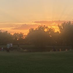 Pets And People Dog Park