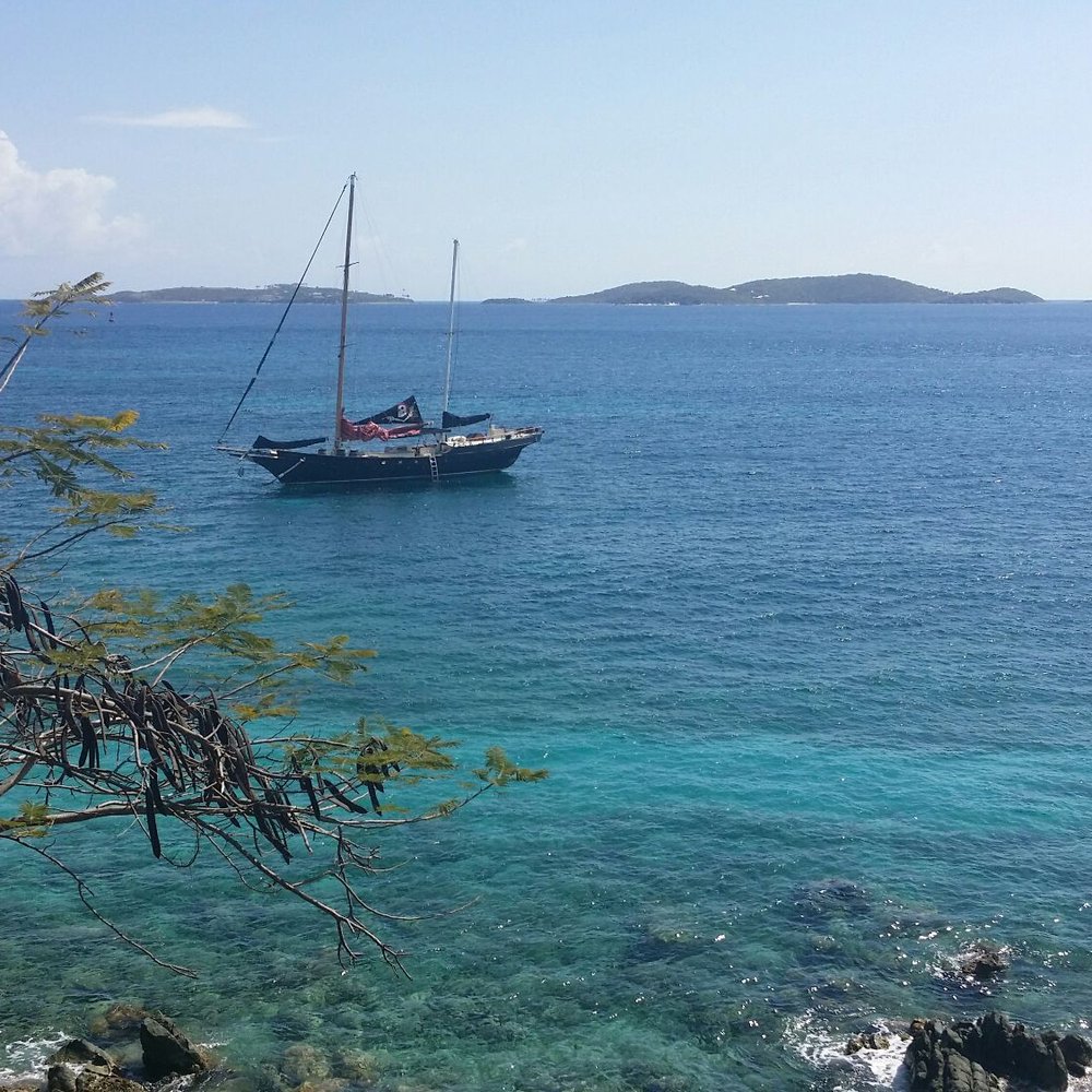 Gallows Point Resort - The view from the patio. - Hotels Near Me - St. John, Virgin Islands