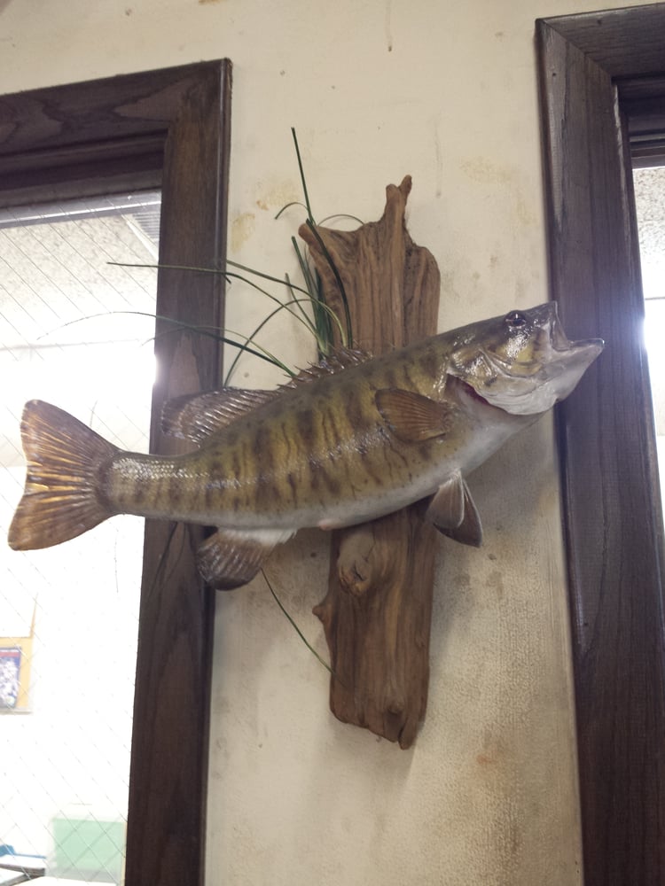 TRI STATE HYDRAULICS 135 Martin Ln, Elk Grove Village, Illinois Phone Number Yelp