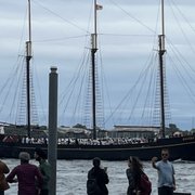 Harbour ハーバー 9'6\" オズジェットボート | シドニー、オーストラリア - 公式旅行