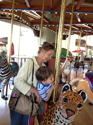 Tom Mankiewicz Conservation Carousel by null