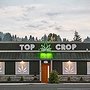 Photo of Top Crop