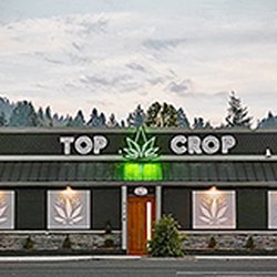 Top Crop