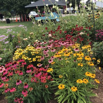 White Lotus Farms - Peaceful gardens - Farmers Market Near Me - Ann Arbor, Michigan White Lotus Farms - Peaceful gardens - Farmers Market Near Me - Ann Arbor, Michigan