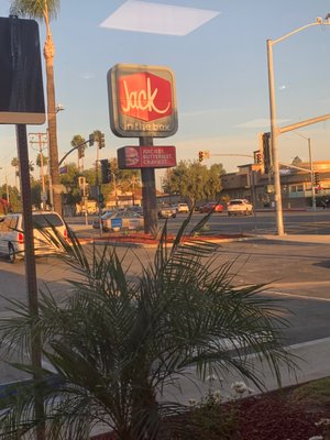 Jack in the Box by null