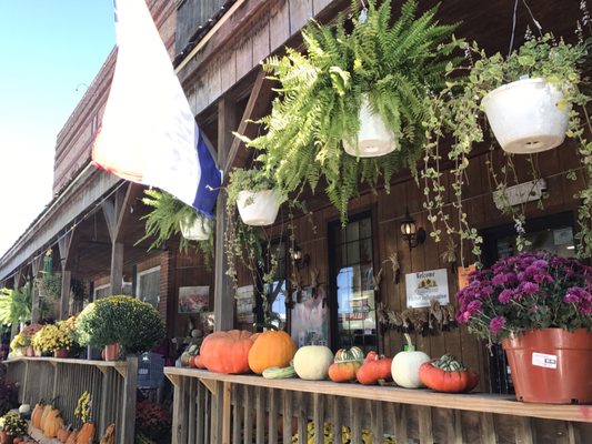 Dutchman's Store by null