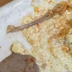 Familias Mexican Restaurant - Pretty good size chicken bone