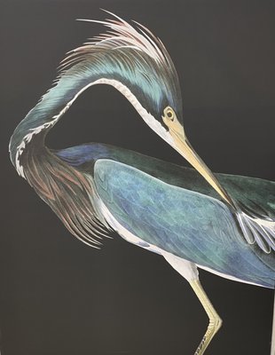 Sago House Furniture by null