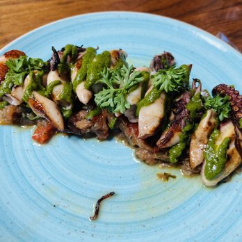Donato & Co - Octopus - Italian Near Me - Berkeley, California