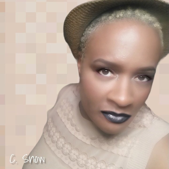 SNOW NOTARY Updated April 2024 Detroit, Michigan Notaries Phone