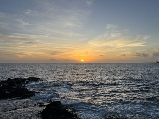 Don the Beachcomber by null