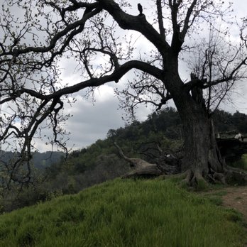 East and Rice Canyons - Hiking Near Me - Newhall, California