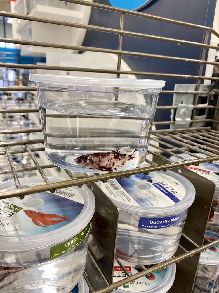 PETCO 12 Photos & 38 Reviews 1090 E Fort Union Blvd, Midvale, Utah