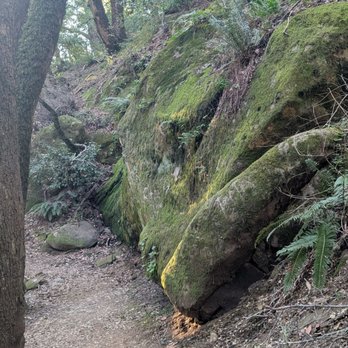 Castle Rock State Park - Parks Near Me - Los Gatos, California Castle Rock State Park - Parks Near Me - Los Gatos, California