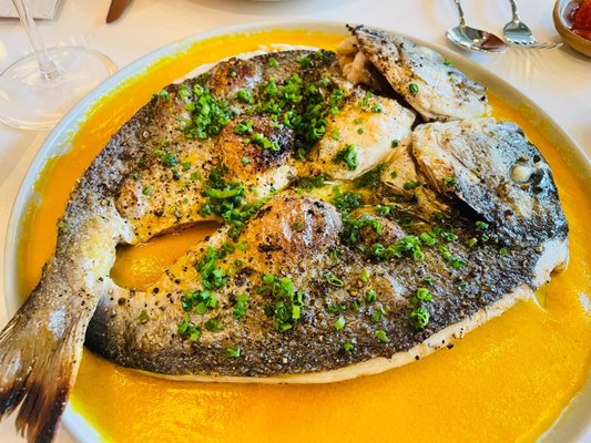 Maty's by null Maty's by null