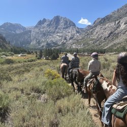 Frontier Pack Train - Meadow with mountain view