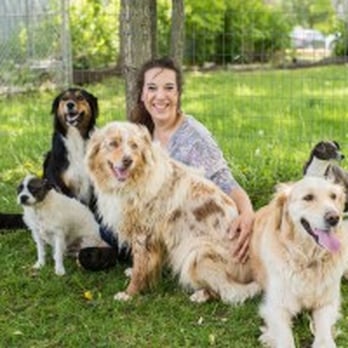 Izy's  Doghouse - Pet Sitting Near Me - Casselman, Ontario