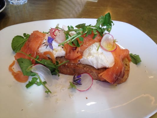 Močan & Green Grout by null