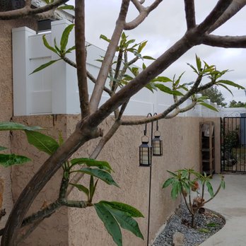 Cuadras Fence - Cuadras covered this and other small corners that others charged more for. - Fences & Gates Near Me - Compton, California Cuadras Fence - Cuadras covered this and other small corners that others charged more for. - Fences & Gates Near Me - Compton, California