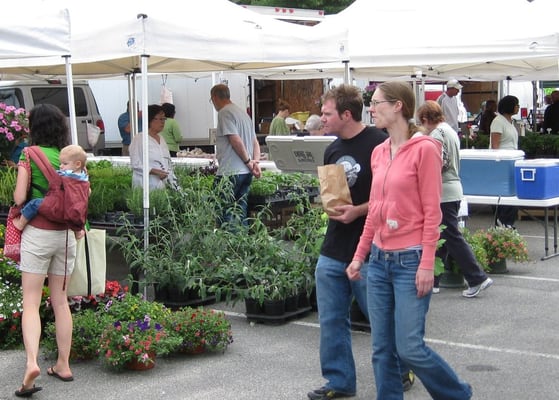 McCutcheon/Mount Vernon Farmers Market by null