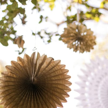 Sausalito Woman's Club - Decorations hanging from big tree in front. - Venues & Event Spaces Near Me - Sausalito, California Sausalito Woman's Club - Decorations hanging from big tree in front. - Venues & Event Spaces Near Me - Sausalito, California