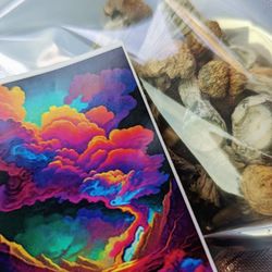 WellShroomness - Gift with purchase of art