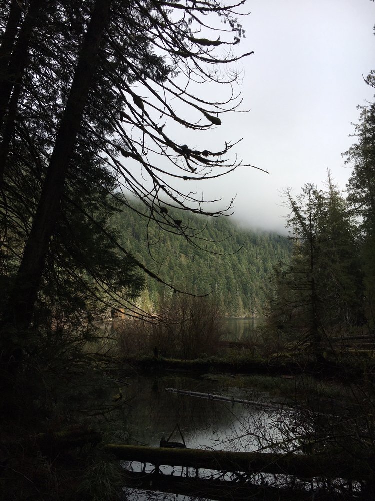 Cathedral Grove Logo