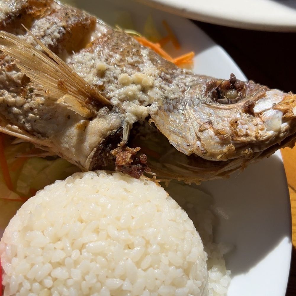 Duffy's - Fish of the day special with rice and beans and tostones - Coffee & Tea Near Me - Vieques, Puerto Rico Duffy's - Fish of the day special with rice and beans and tostones - Coffee & Tea Near Me - Vieques, Puerto Rico