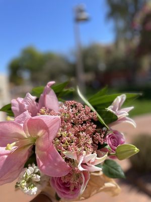 Scottsdale Civic Center by null