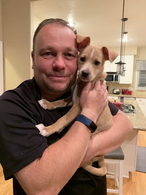 2 blondes all breeds